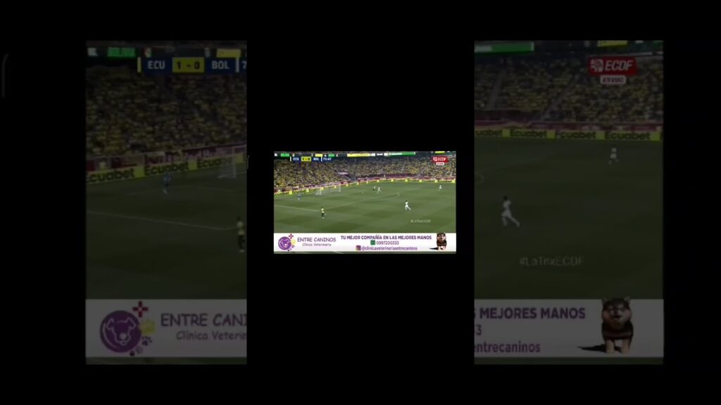 Muy bien Gruezo Jerry