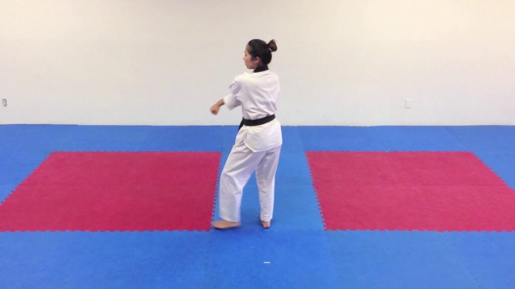 Taegeuk 2   Taegeuk Ee Jang