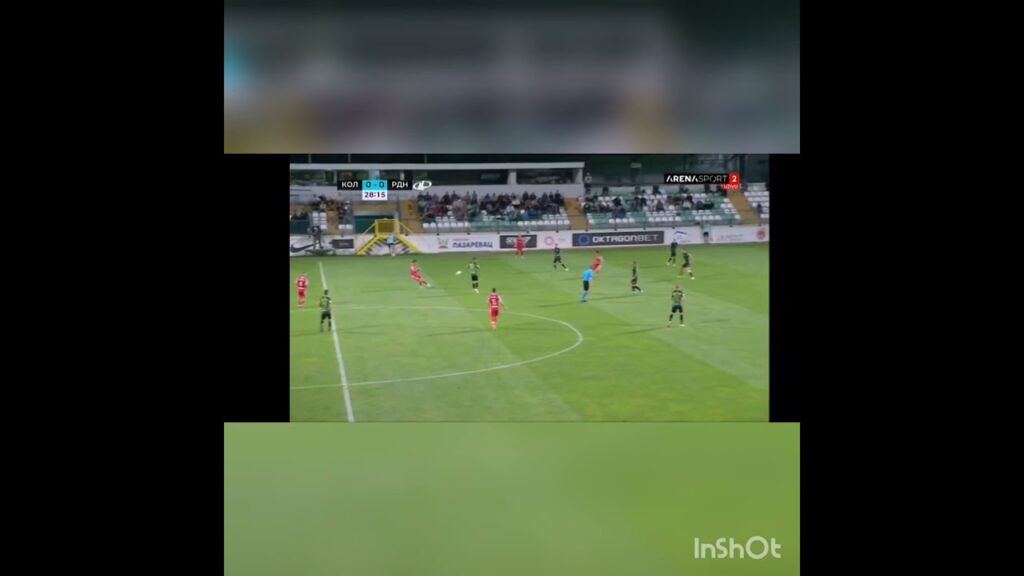 Stefan Mitrovic FK Radnicki vs FK Kolubara