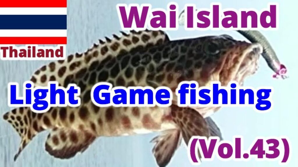 釣り天国タイ　小さな島でロックフィッシュのライトゲーム