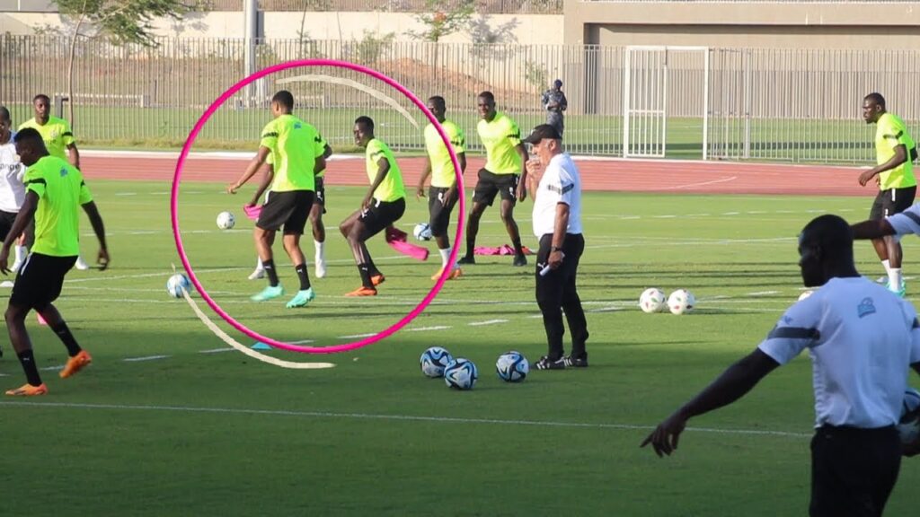 Abdou Diallo - Niakhate le jour d'après les deux lions jouent ensemble au taureau