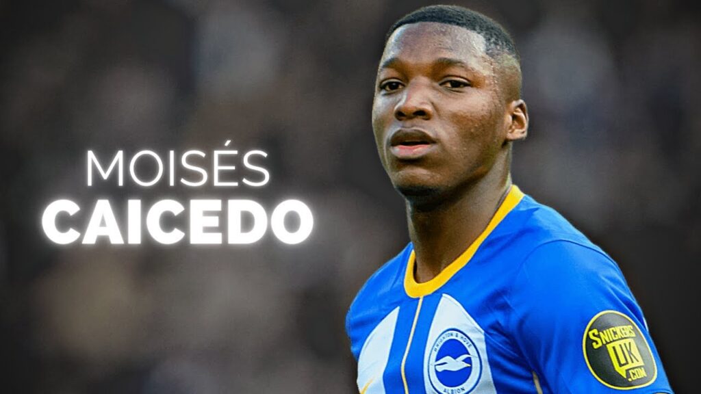 Moisés Caicedo - Season Highlights | 2023