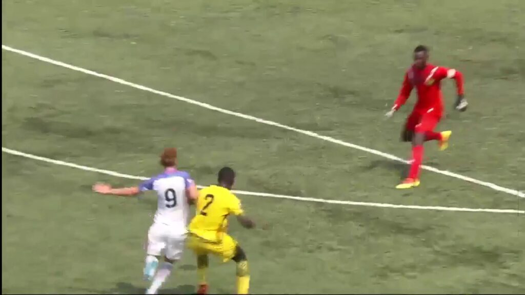 GOAL United States, Josh SARGENT No. 9