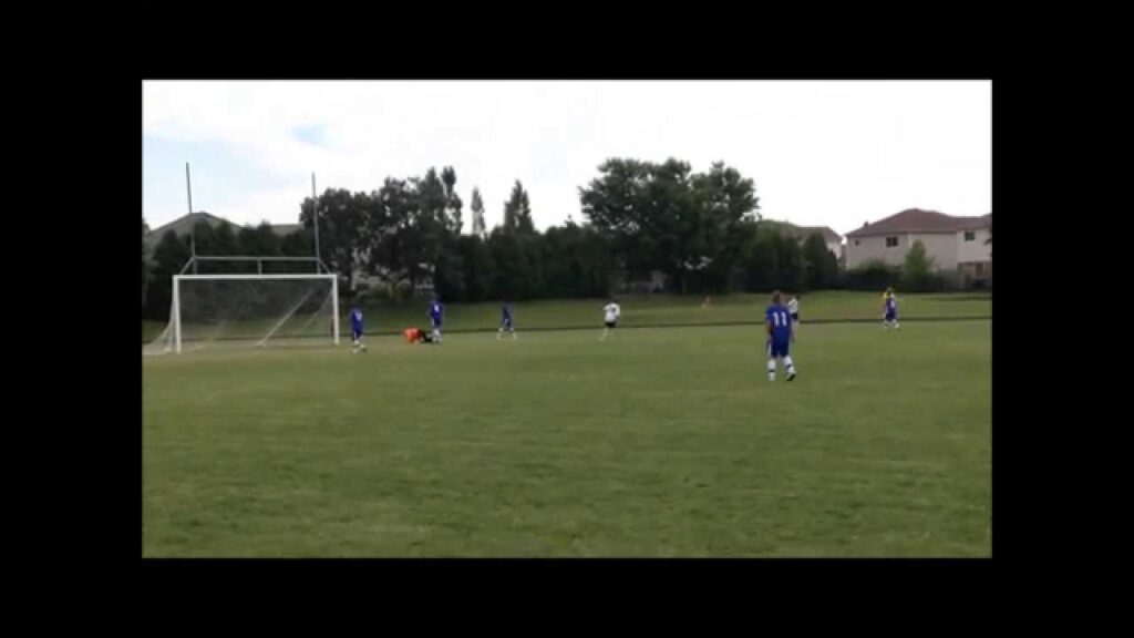 Stefan Mitrovic 2 goals Stefan Mitrovic 2 goals