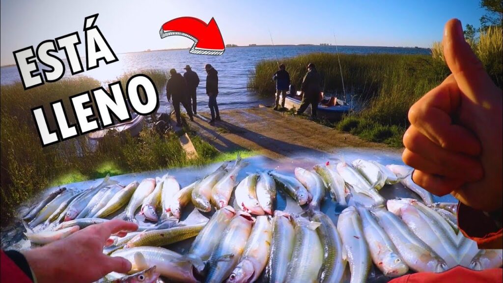 Increible,  Laguna Salvaje! LLENA de pejerreyes hambrientos. Mira! PRECIOS, UBICACION, SERVICIOS.