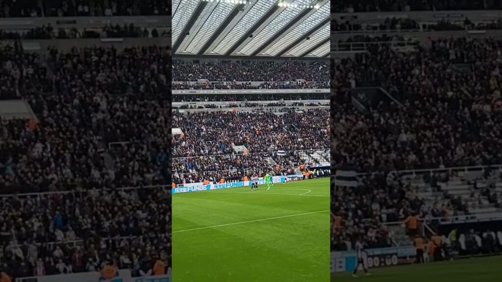 🎼 Hey Callum Wilson, I wanna know how you'll score that goal! 🎶 Newcastle v Spurs Build up