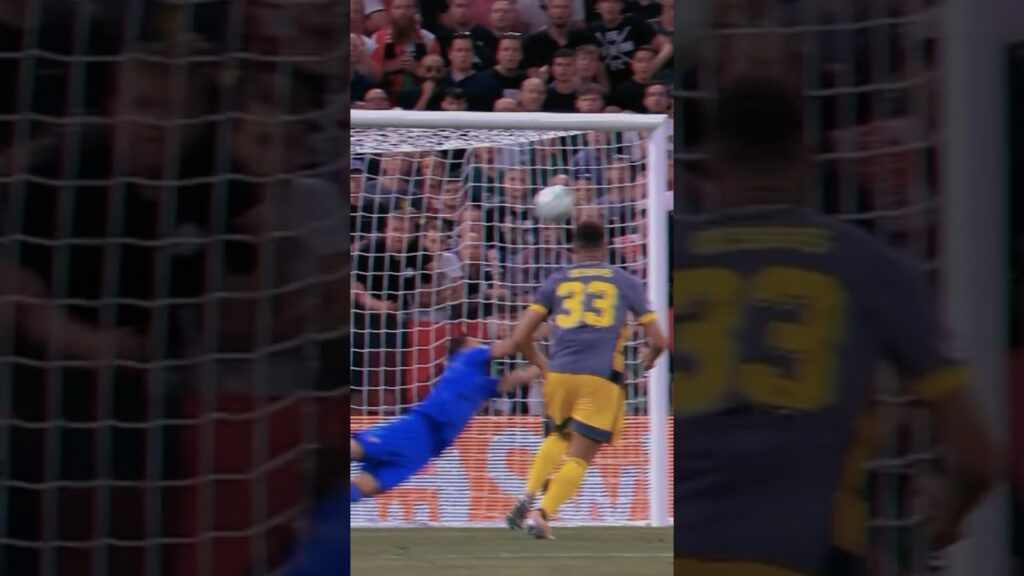 RUI PATRICIO, UMA MURALHA