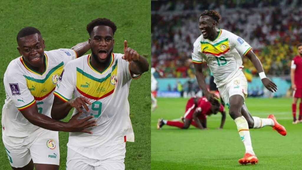 Les magnifiques buts de Boulaye Dia et Famara Diedhiou - Qatar vs Sénégal (0-2)