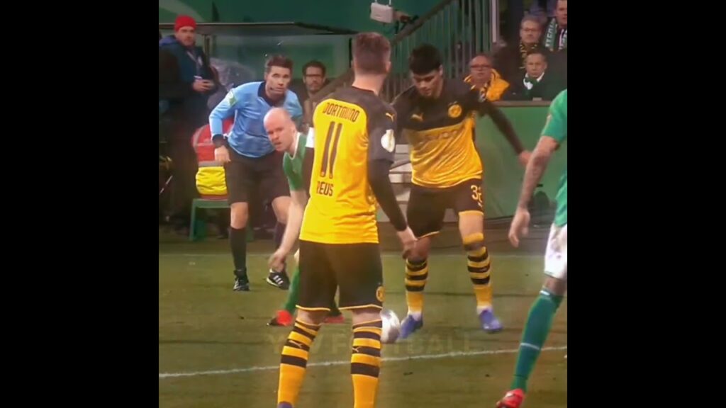 Giovanni Reyna Goal Dortmund vs werder bremen