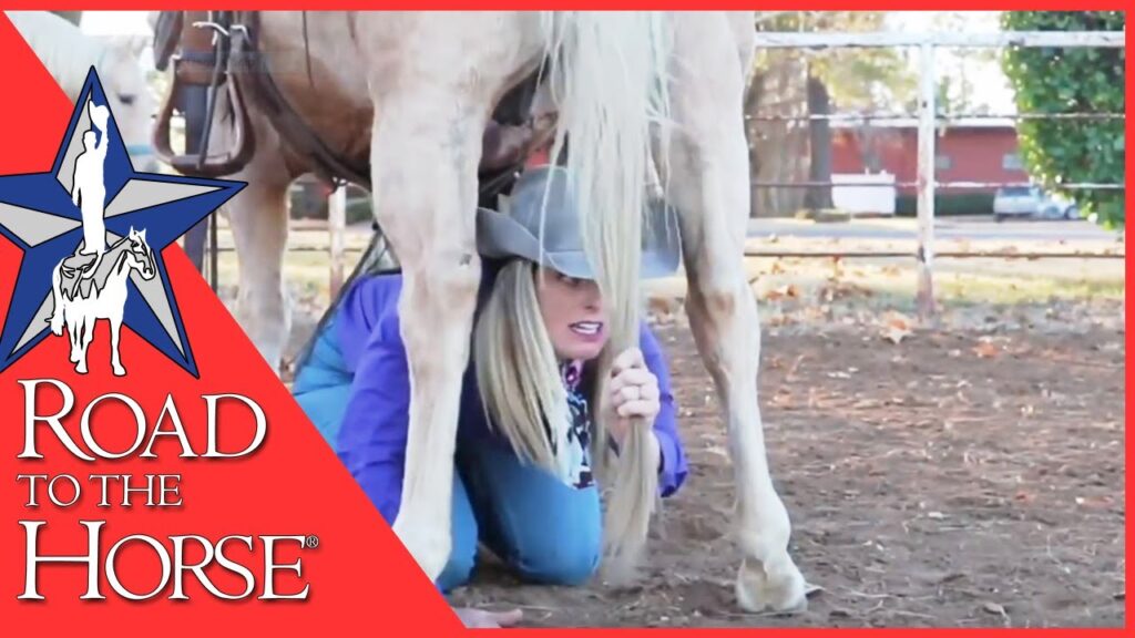 Don't Miss Wild Card Extreme Wylene at Road to the Horse 2020