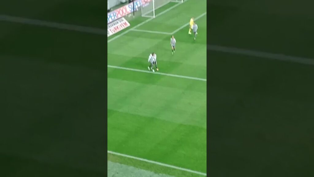 Beşiktaş Atletico Madrid Nkoudou tribün çekim gol #beşiktaş