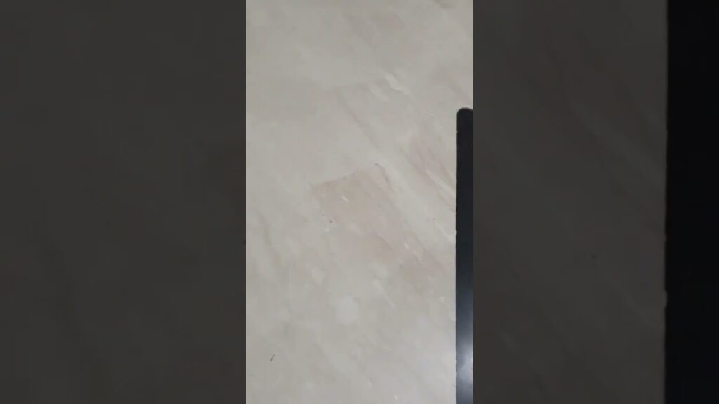 عطية الله يمازح لاعب الجيش الملكي رضا سليم في سهرة تتويج النجوم #المنتخب_المغربي #shorts