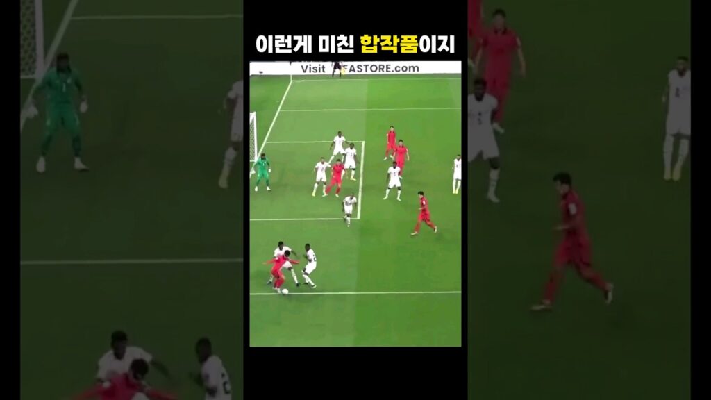 (직관) 손&이&조 조합 / 2022 가나전