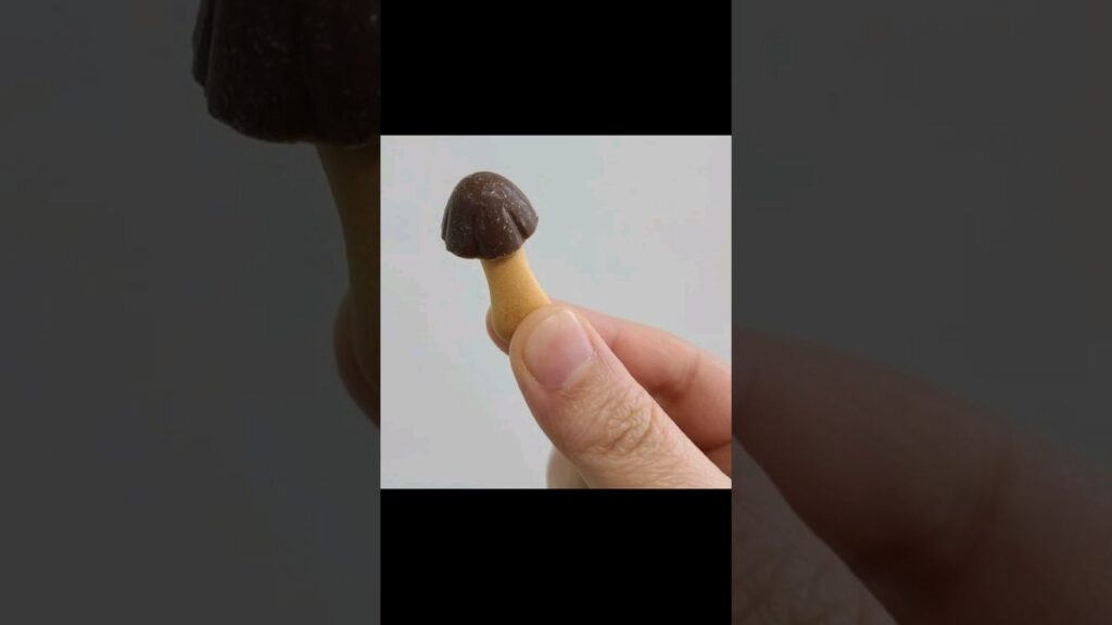 황의조 15초 요약 (전우원 닮았다)