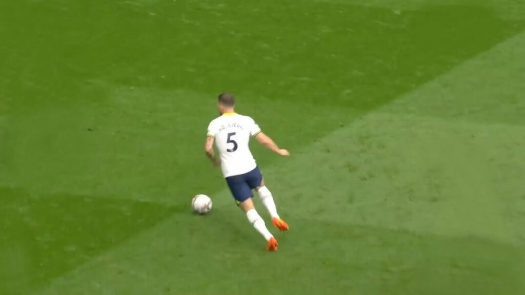 Pierre Emile Højbjerg Is PURE CLASS