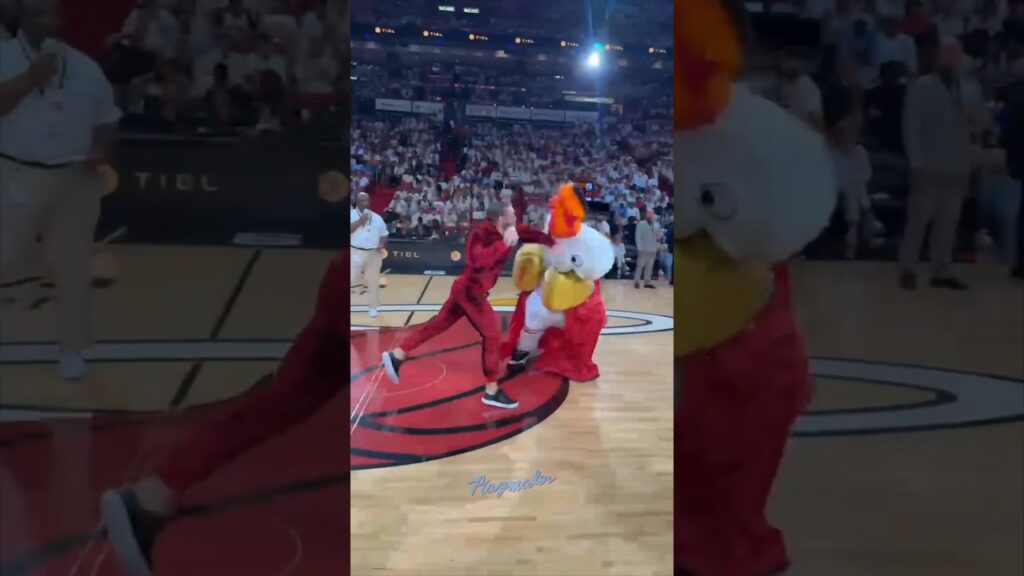 McGregor put the Heat mascot in concussion protocol 😱
