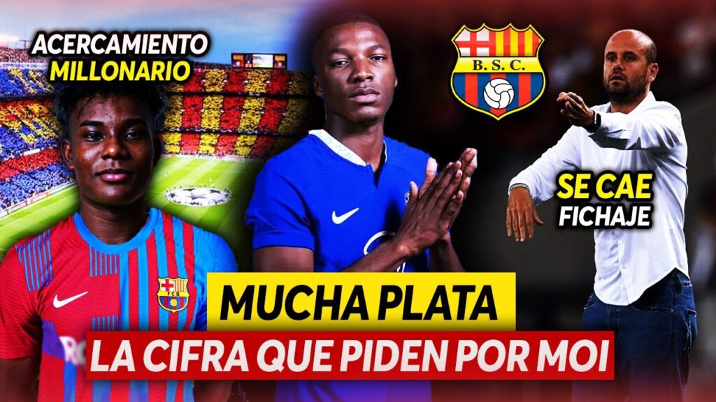 SE COMPLICA la SALIDA de MOISES CAiCEDO | EL CITY quiere a ALLEN OBANDO | ¿ZAMBRANO al FC BARCLEONA?