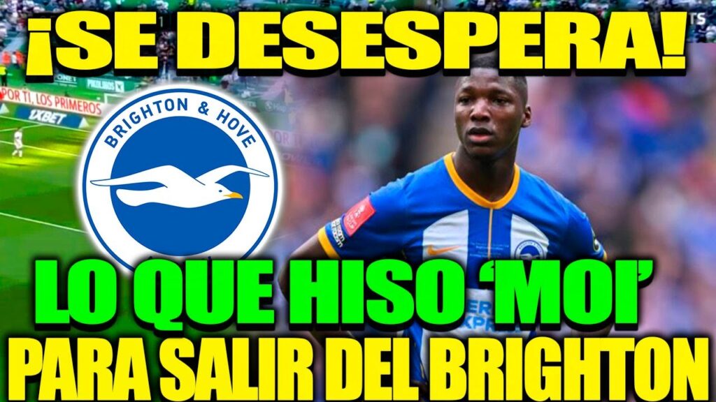 ¡MOISES CAICEDO SE DESESPERA! LO QUE HISO MOI PARA SALIR DEL BRIGHTON