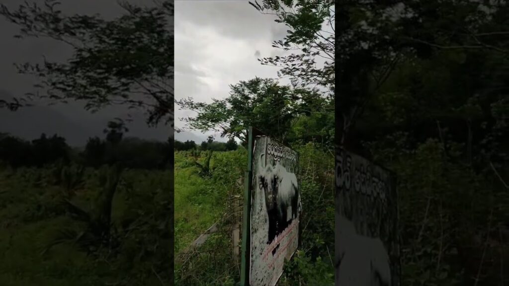 #beautiful location in ampadu