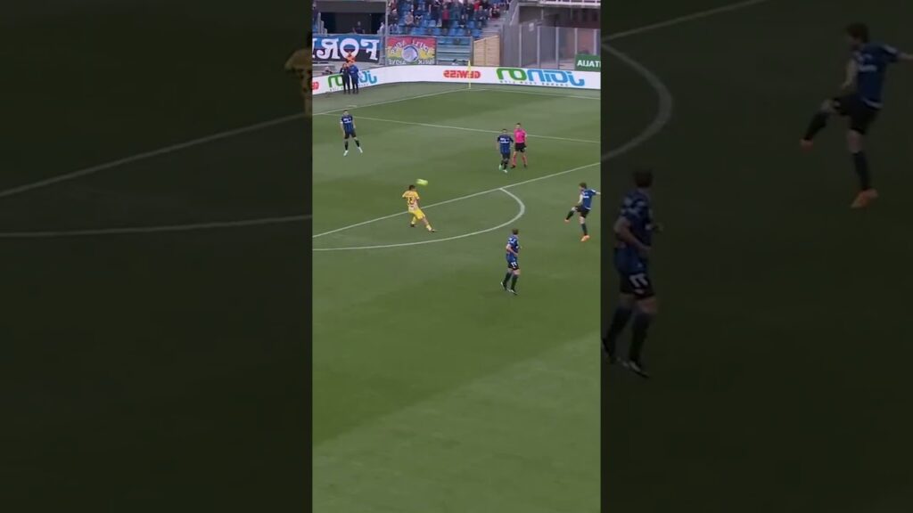 Пушечный гол Мартена де Рон