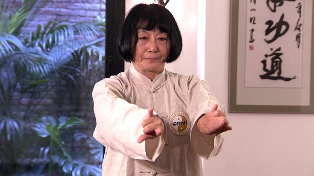 TAI CHI ONLINE | CLASE 1 | Movimiento en casa con Kazuko Onkai TAI CHI ONLINE | CLASE 1 | Movimiento en casa con Kazuko Onkai
