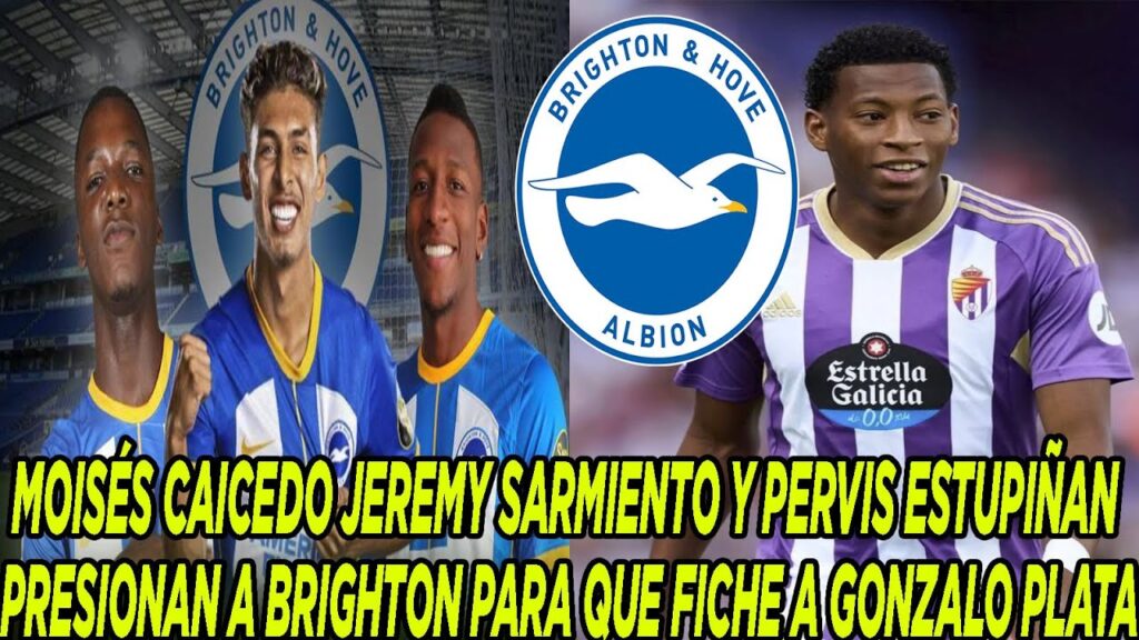 MOISÉS CAICEDO JEREMY SARMIENTO Y PERVIS ESTUPIÑAN PRESIONAN A BRIGHTON PARA FICHAR A GONZALO PLATA