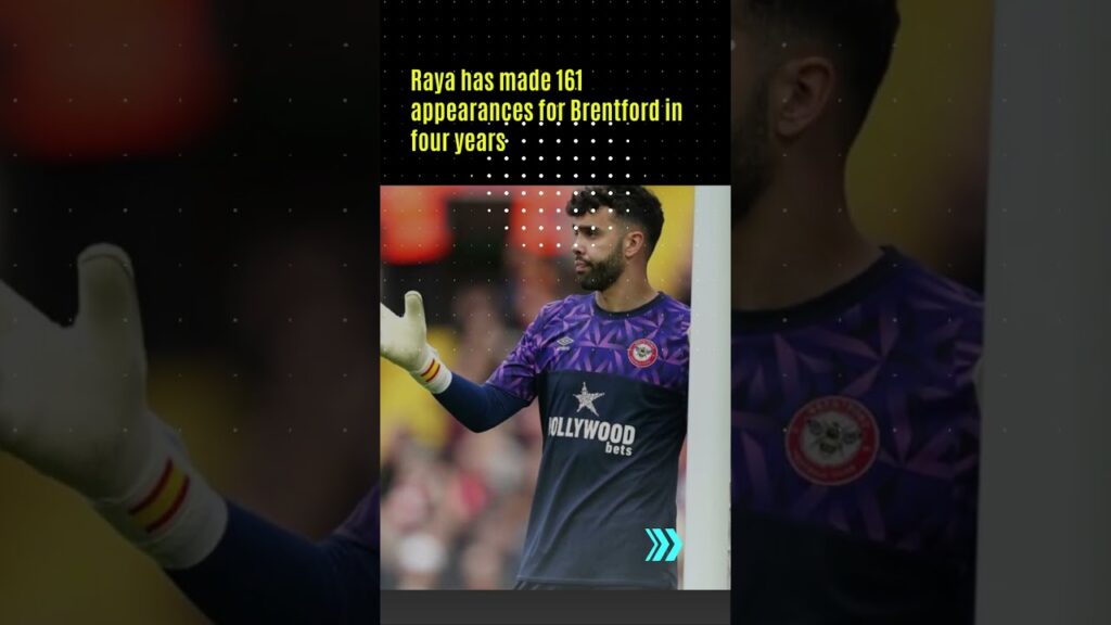 Tottenham progressing in bid to sign Brentford goalkeeper David Raya