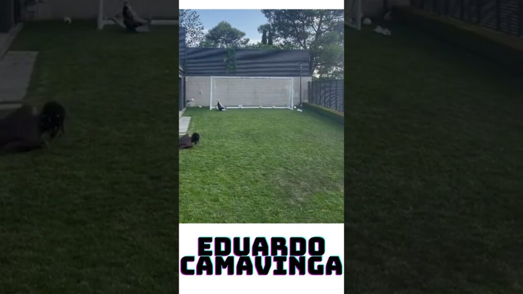 Eduardo Camavinga (Goalkeeping skills)