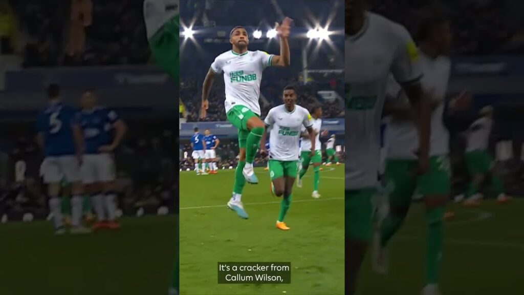 Callum Wilson Goals... #shorts #feed #feedshorts #shortsvideo #shortsfeed