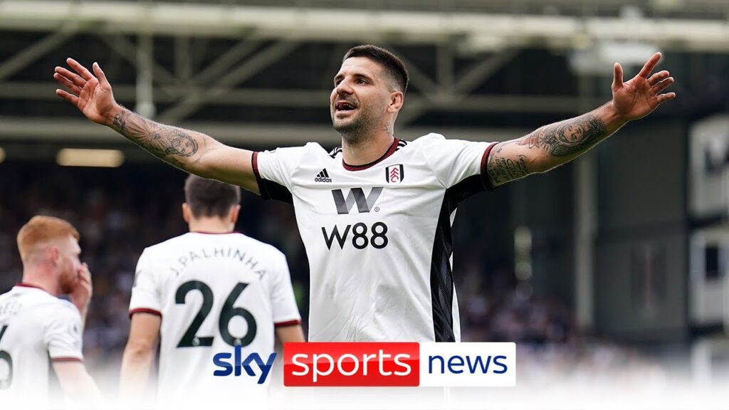 Alexander Mitrovic says he will never play for Fulham again after club valuation