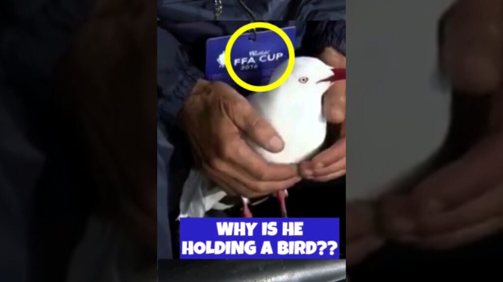 Expect the unexpected 🕊️⚽ #shorts