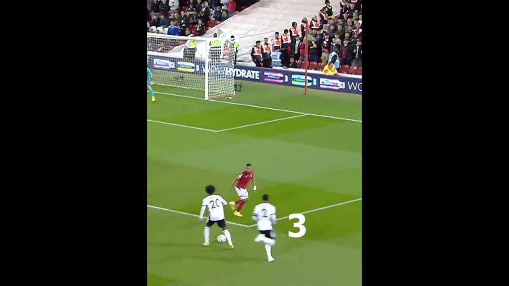 Top goals outside the box from premiere league #youtubeshorts #premierleague #bestgoals