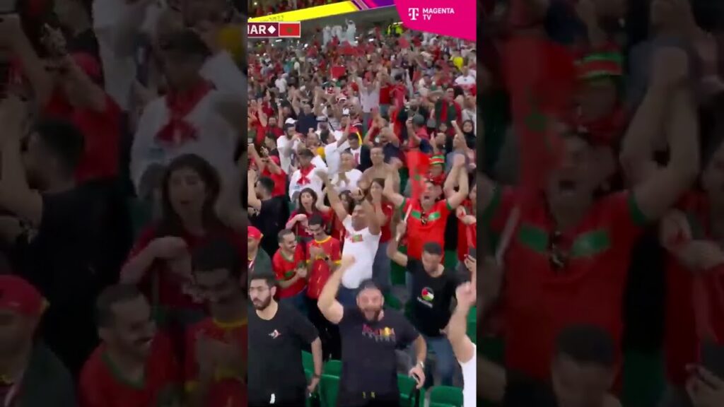 Ob sich Sabiri und Saïss abgesprochen haben? 😉 #shorts