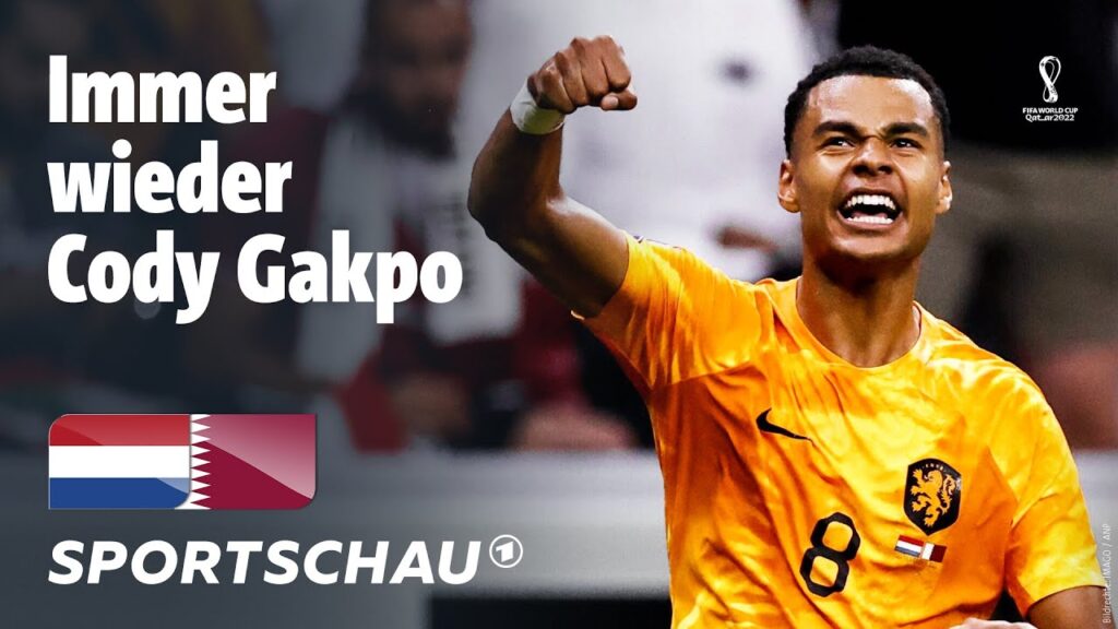 Niederlande – Katar Highlights, FIFA WM 2022 | Sportschau