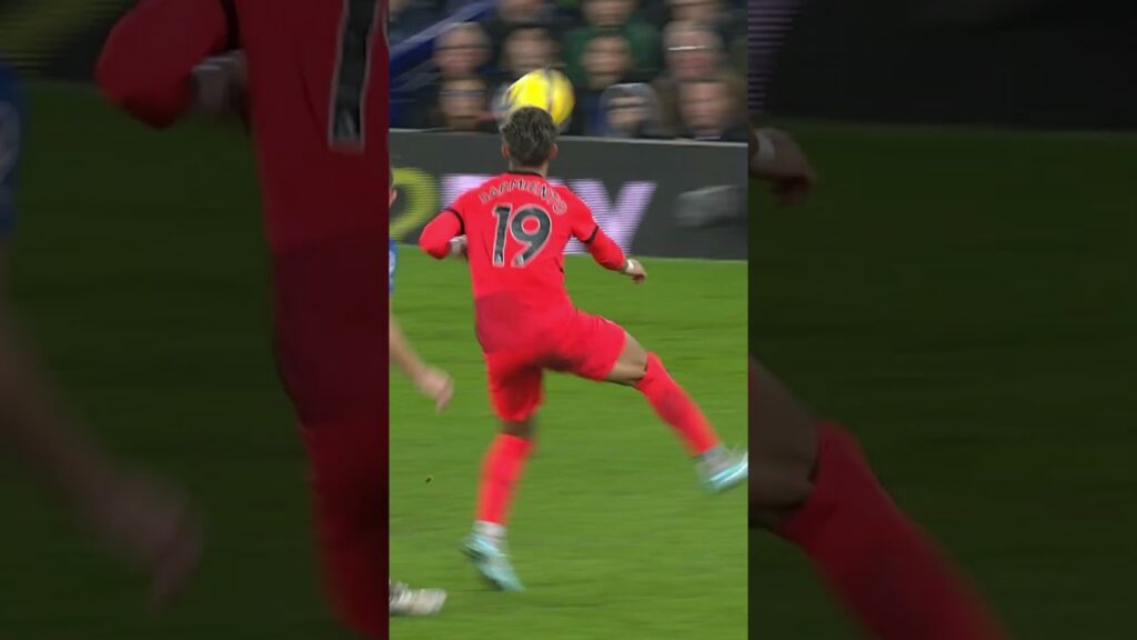 The Best Of Jeremy Sarmiento 2022/23