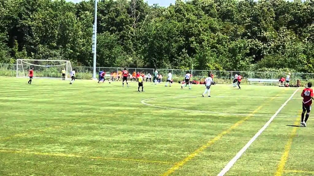 Daniel Haber 2012 Highlights