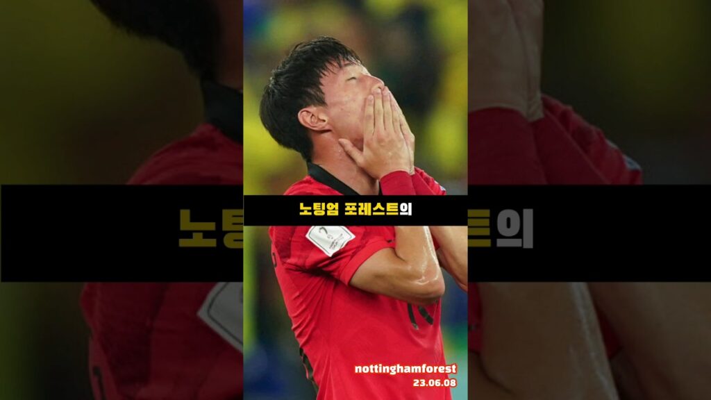 노팅엄의 이상한 영입 황의조 #shorts #해외뉴스