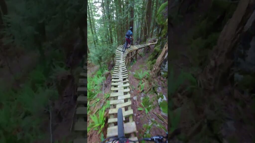 Freeride was Born Here