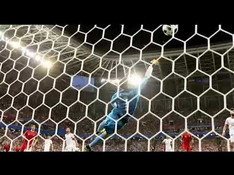 AliReza Beyranvand ( Goalkeeper National Team )