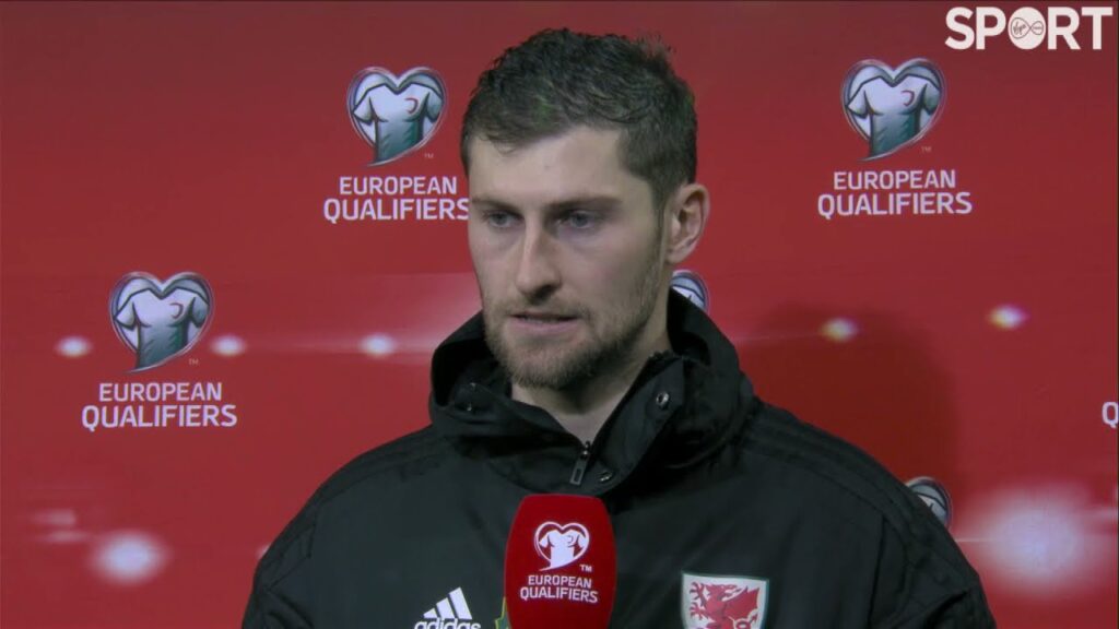 Goalscorer Ben Davies reacts to Wales' 5-1 win over Belarus.