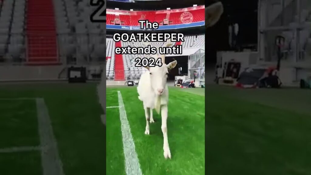 Bayern Munich announcing Manuel Neuer’s new contract 😂 🐐
