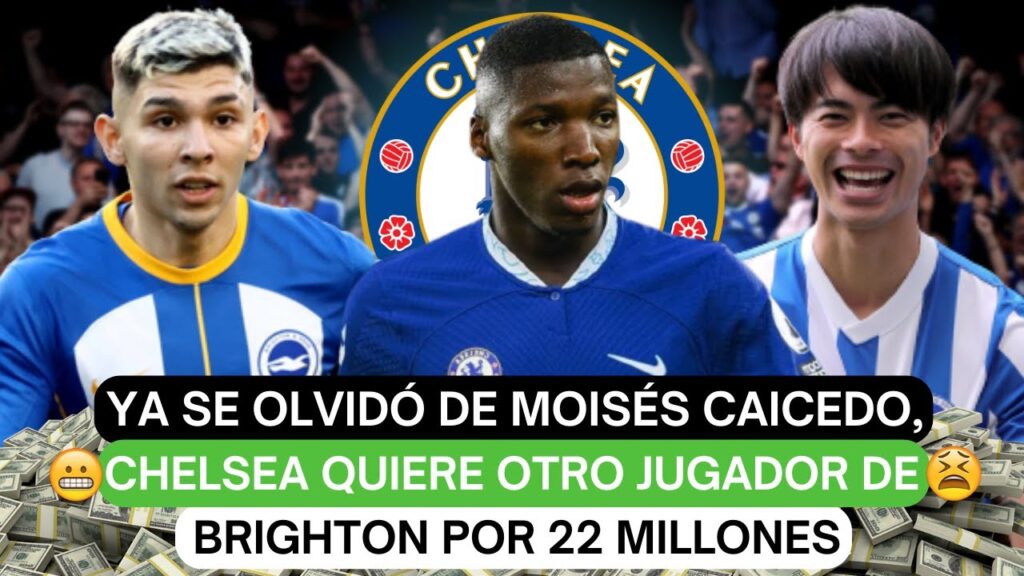 ❌Ya se olvidó de Moisés Caicedo, Chelsea quiere otro jugador de Brighton por 22 millones🤑