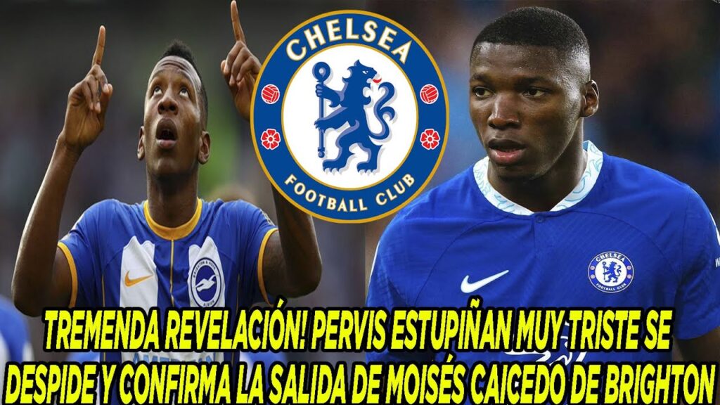 PERVIS ESTUPIÑAN MUY TRISTE SE DESPIDE Y CONFIRMA LA SALIDA DE MOISÉS CAICEDO DE BRIGHTON