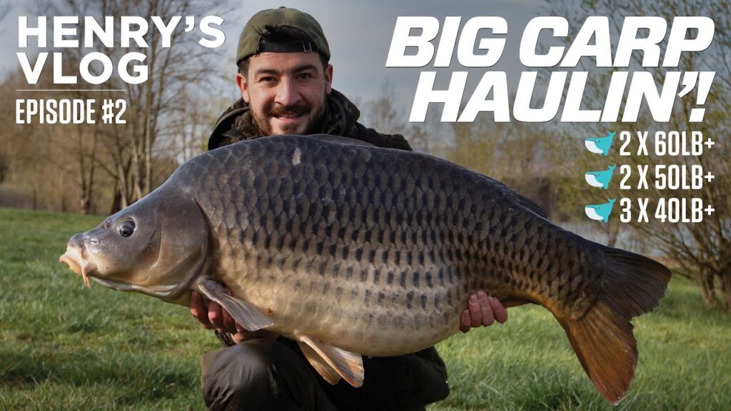 THIS IS 𝗕𝗜𝗚 CARP OVERLOAD! 🐋 | Henry's Vlog #2