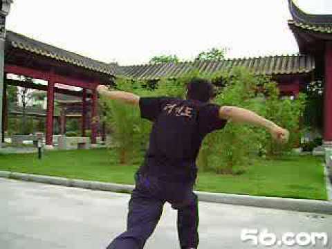 Chan Wah Shun/ Chan Yu Ming Lineage Fok Fu Kuen 陈汝棉系永春伏虎拳