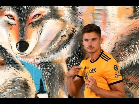 Wolves new boy Leander Dendoncker says Premier League move will be like playing Champions
