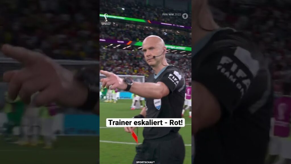 Trainer eskaliert - Rot! | Sportschau #shorts