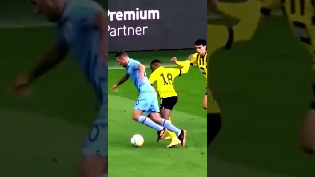 18 years old Youssoufa Moukoko Scored an Amazing Goal #moukoko #borussiadortmund