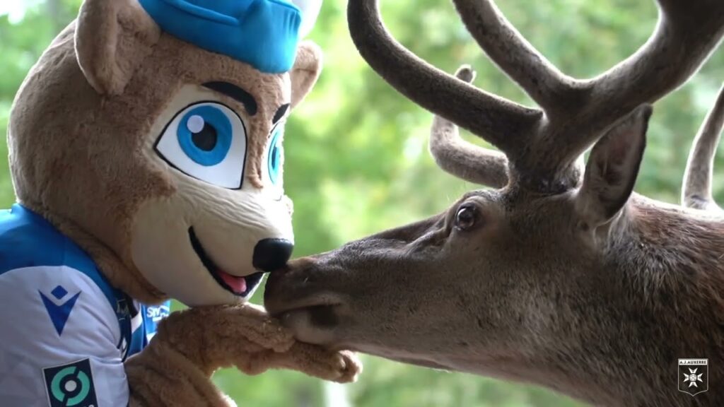 🦌 𝐎’𝐂𝐞𝐫𝐟, bienvenue dans la Tribu AJA ! 💙🤍