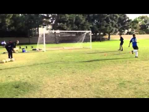Soccer training-Ahmadreza abedzadeh/Mehdi Ansari